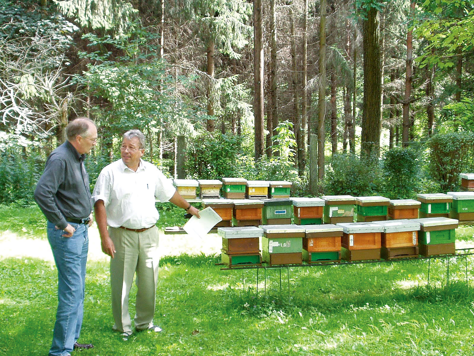 apicultura stupina Gratz Austria