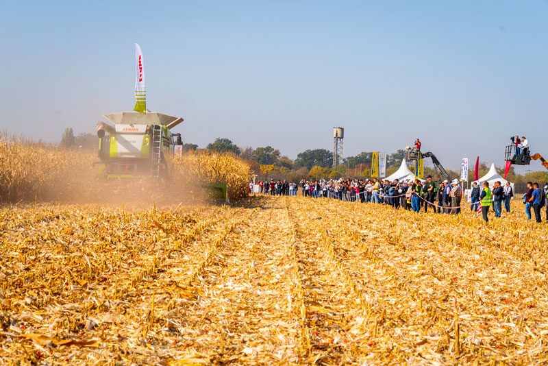 Combina CLAAS LEXION 770 TERRA TRAC