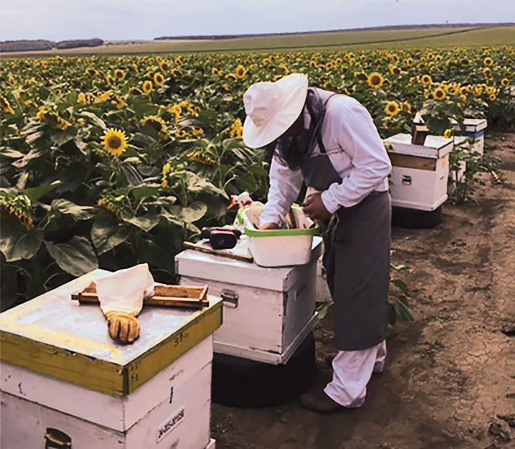 Femeia de apicultura care cauta omul cuplu cauta barbat kecskemét