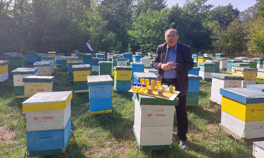 apicultura Adrian Siceanu