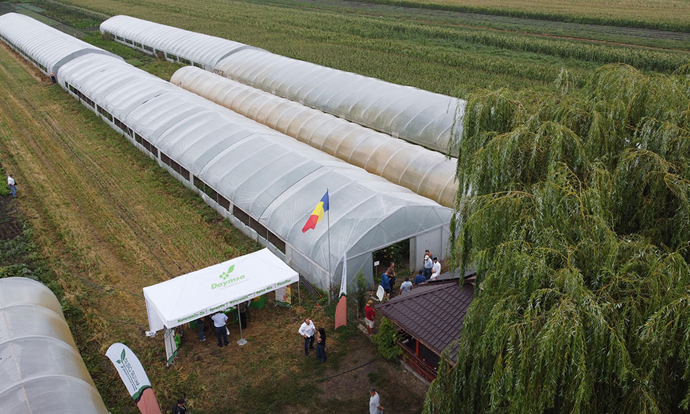 „Lucrând cu plantele parcă ești la mănăstire, nici păcate nu faci...“