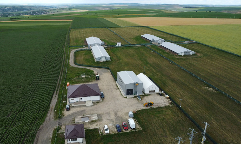 Ferma 7 Dubina Ungureni Botosani foto din drona