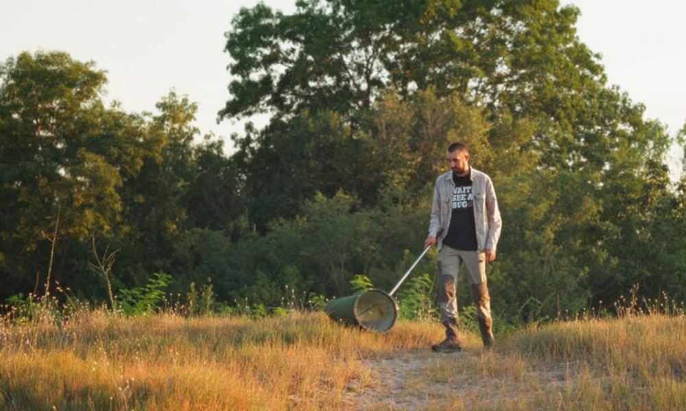 In situ Alexandru Pintilioaie