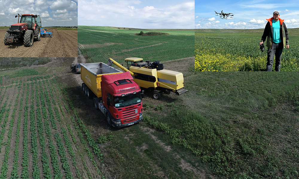 De la UTB-ul bunicului la tehnologia cu dronă  - Un fermier botoșănean a bătut recorduri și a învins seceta