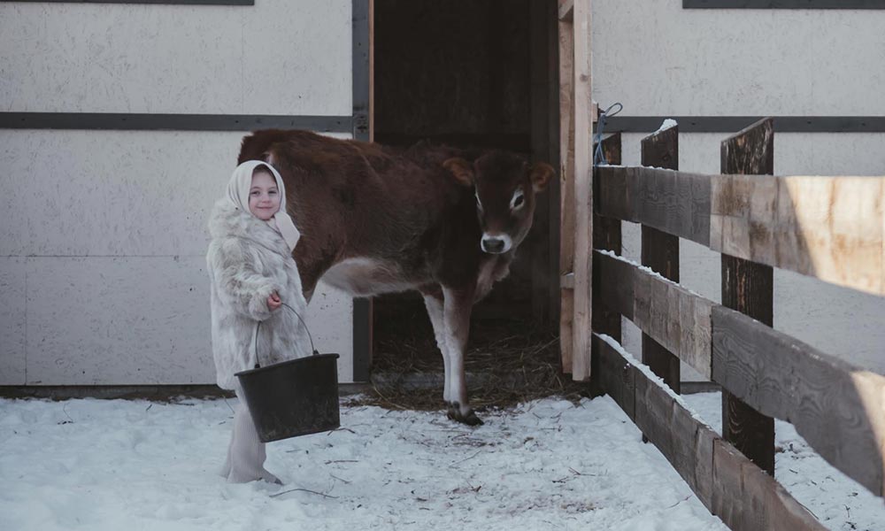 Ferma Smărăndiței: un colț de copilărie în Botoșani, între animale și natură