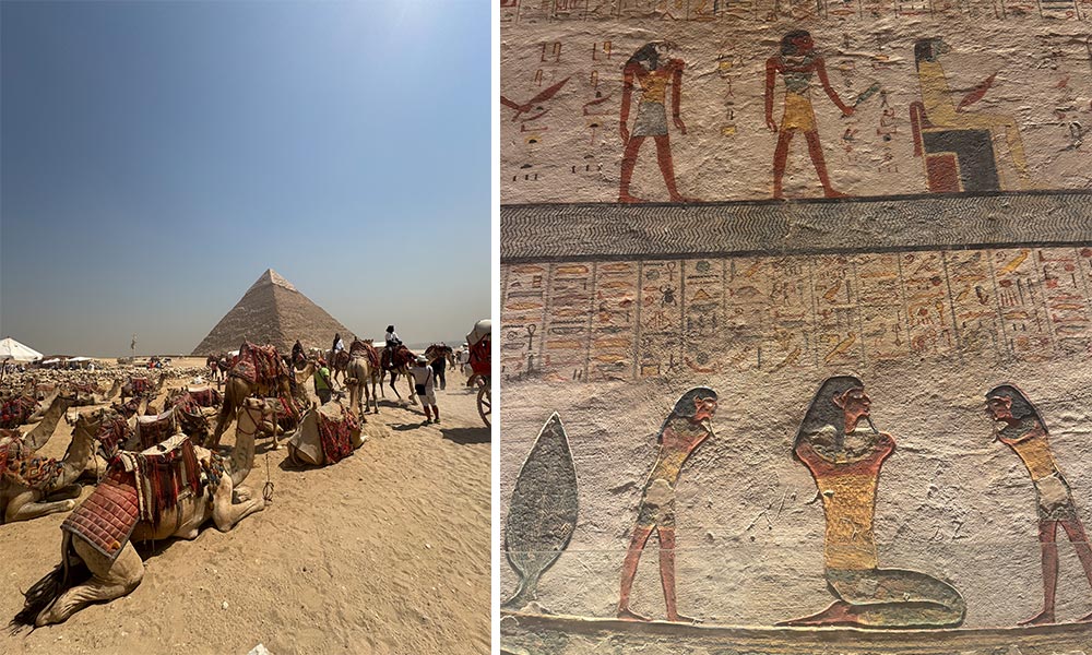 Piramidele din Egipt desertul Sahara camile