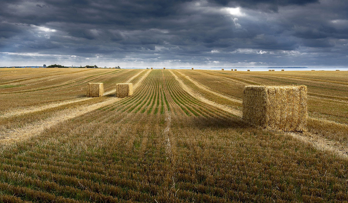 UNCSV oferă gratuit cooperativelor agricole documente suport pentru implementarea proiectelor finanțate prin sM 4.1.1