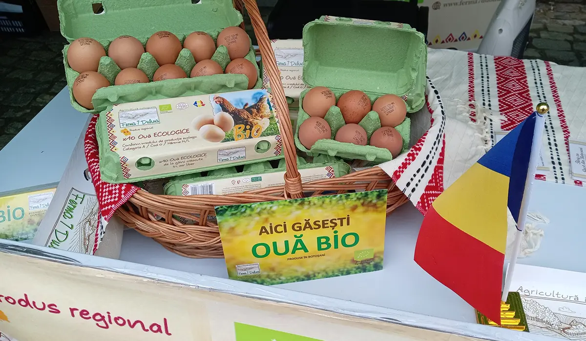 Adevărul din spatele ouălor BIO - Cum pot consumatorii să recunoască ouăle ecologice autentice