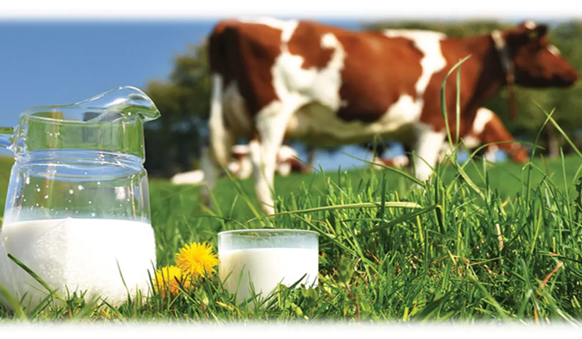 România cere sprijin european pentru fermierii afectați de criza din sectorul laptelui