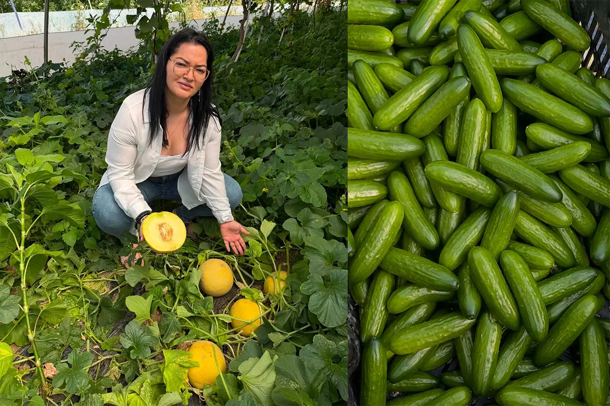 De la tomate la castraveți snack: pariul unei tinere fermiere din Pleșoiu
