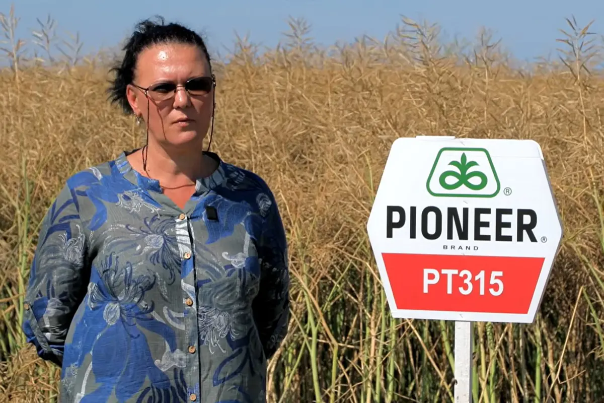 Producții de peste 6 tone la hectar cu hibrizi Pioneer