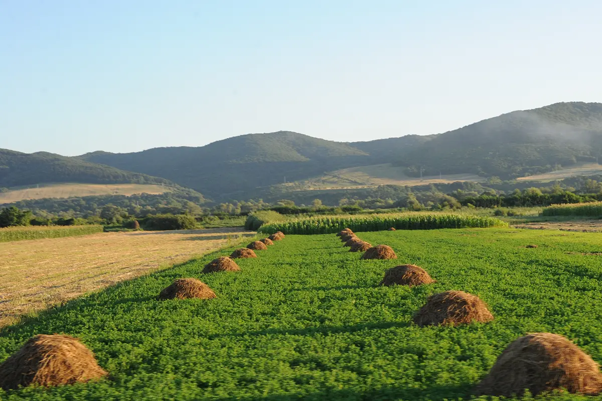 Toate amendamentele fermierilor la Strategia biodiversității 2026–2030, acceptate în Senat