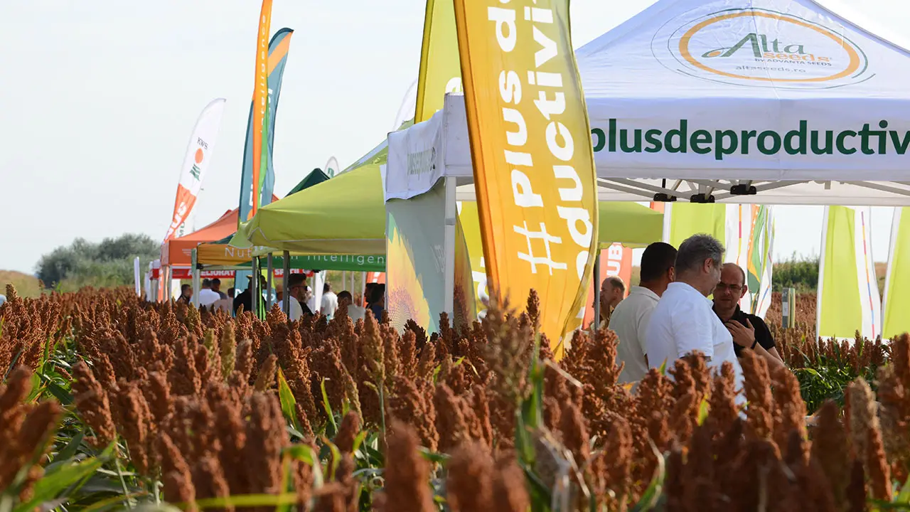 Ziua Agriculturii Reziliente cultura sorgului FAPPR 2026