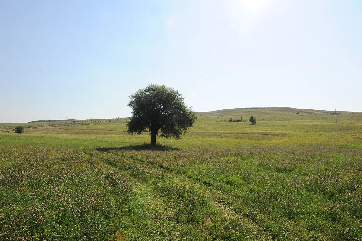 Fermierii avertizează: Strategia biodiversității riscă să afecteze grav agricultura românească