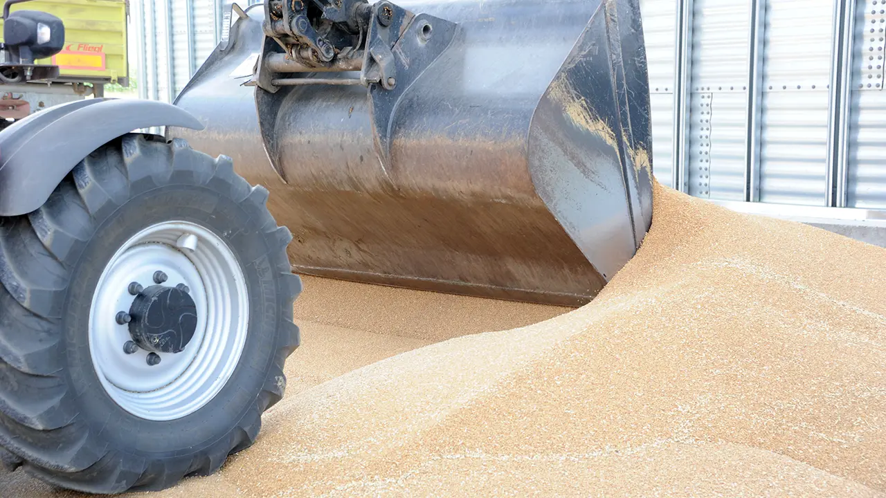 Fermierii cer control strict pentru cerealele ucrainene