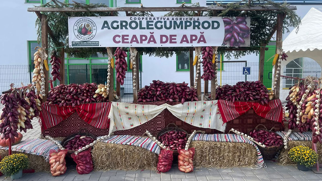 De la ceapa bunicilor la o nouă generație de fermieri. Andreea vrea să ducă mai departe tradiția cepei de apă din Buzău