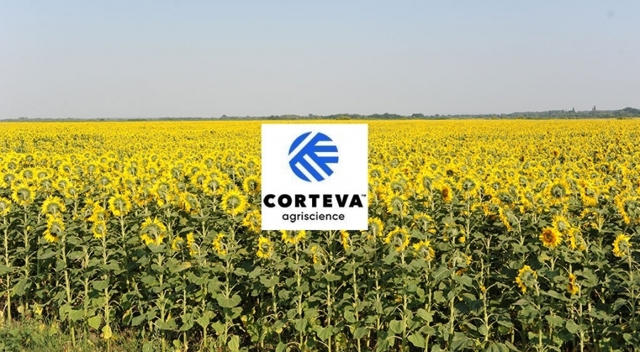 Corteva raportează rezultatele financiare pentru trimestrul 4 și pentru anul fiscal 2019 și oferă estimări pentru 2020