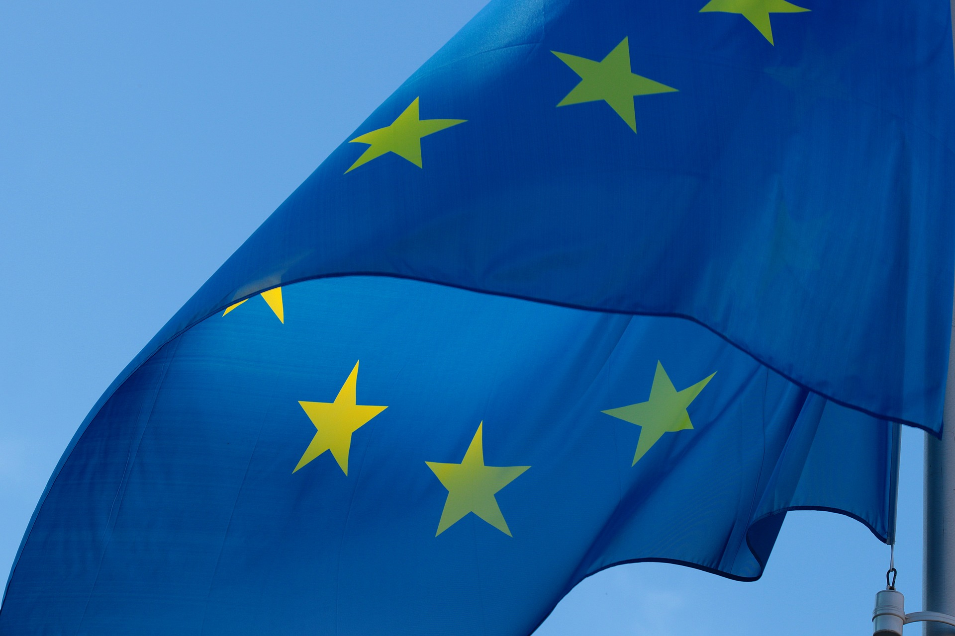 Document de opinie: La Bruxelles, o nouă săptămână de dezbateri despre studiile privitoare la Strategia „De la fermă la consumator” se încheie cu nevoia de...mai multe studii!