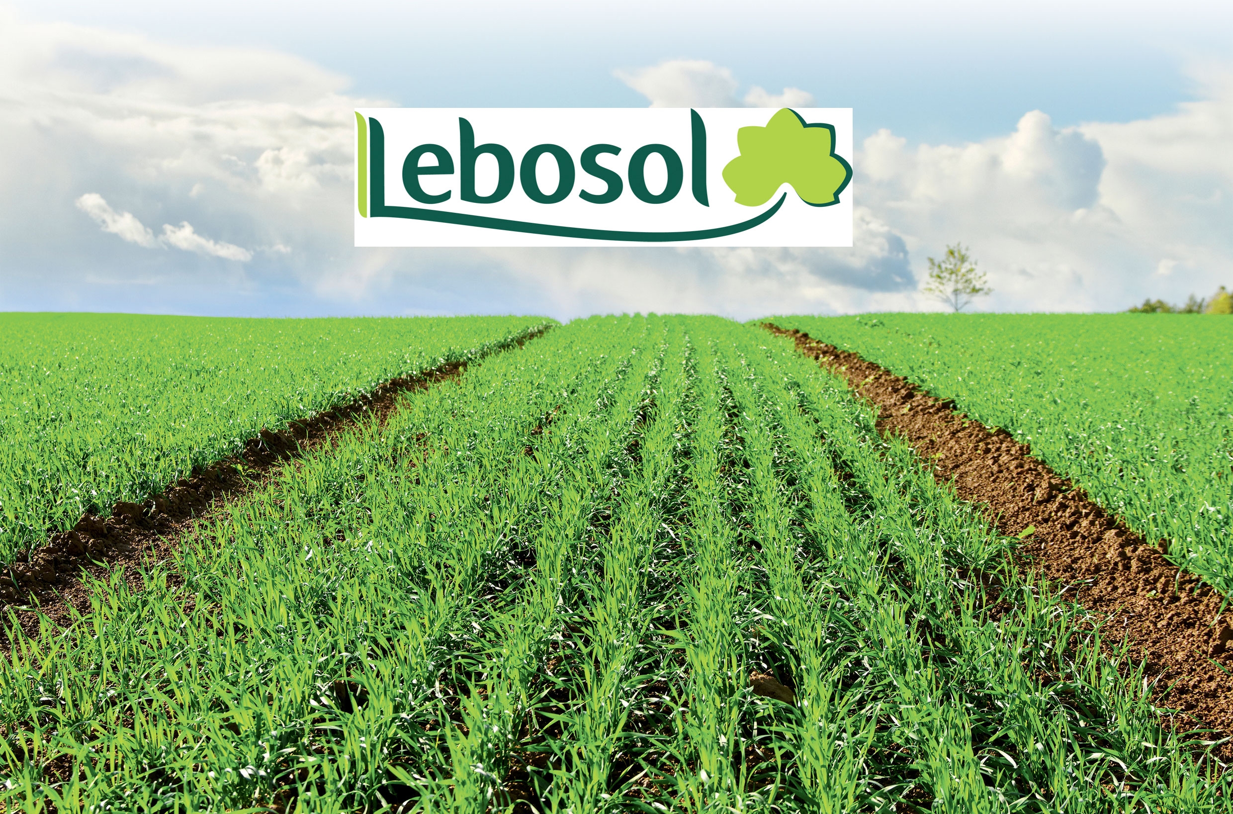 Fertilizarea foliară în toamnă a cerealelor păioase