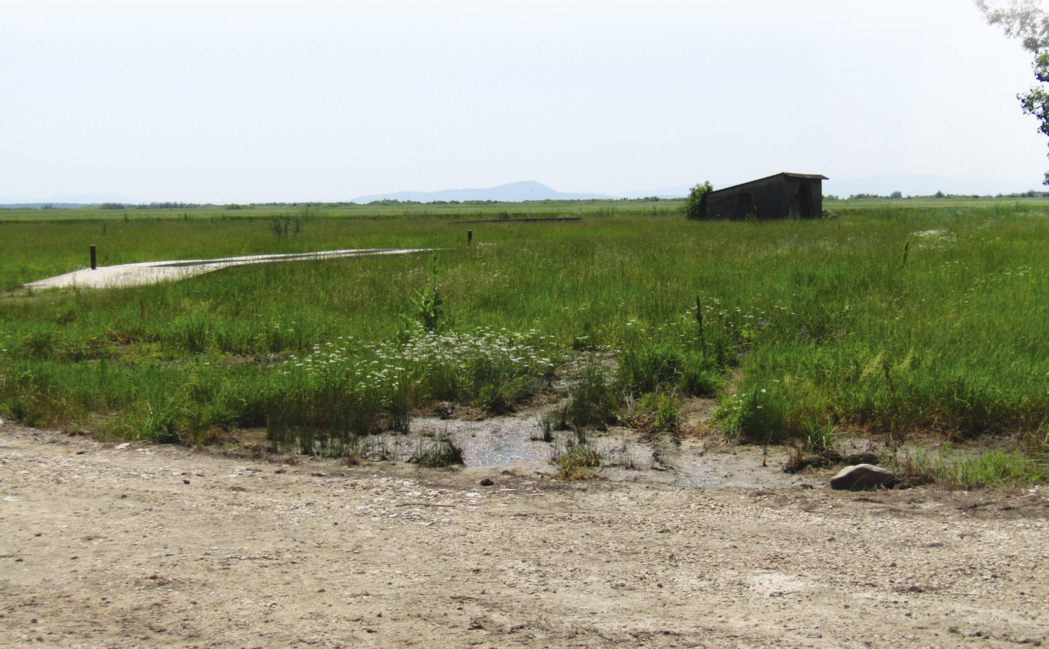 În unele zone, vremea schimbă obiceiurile. Cultivăm pământul ca în Amazonia