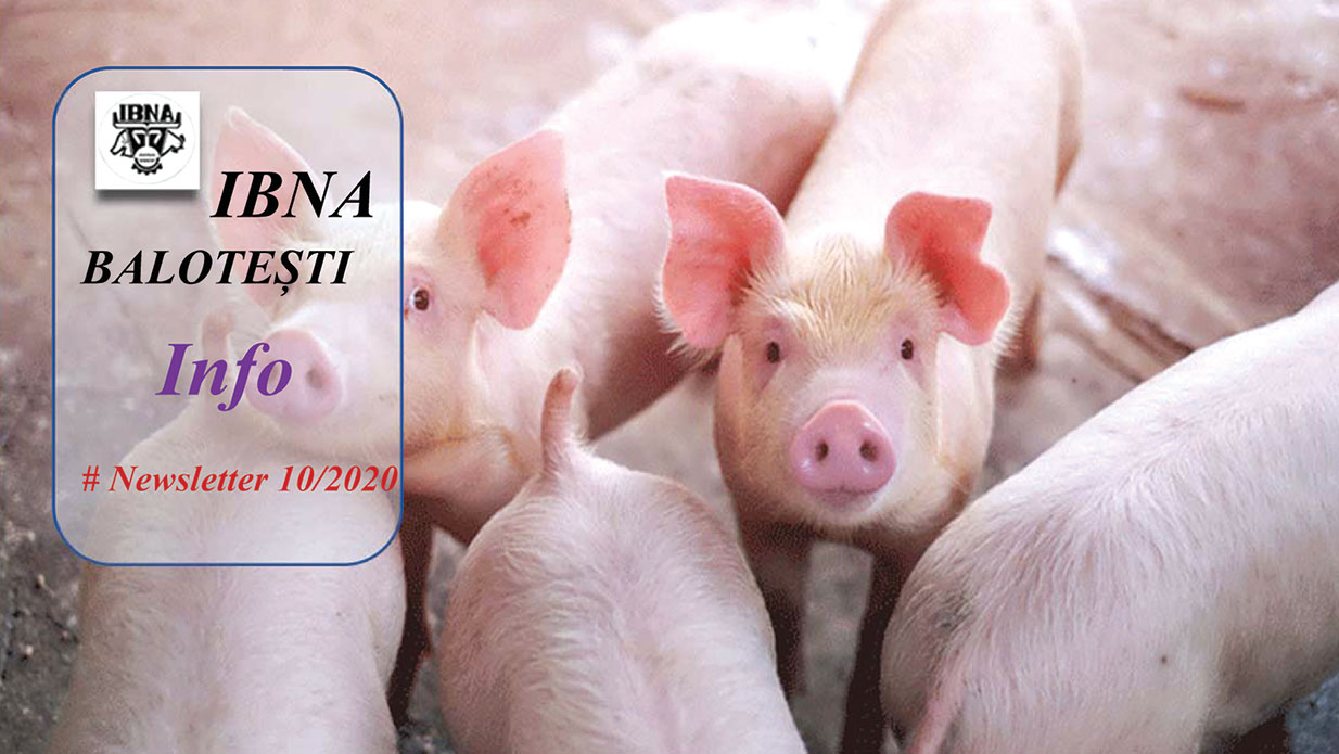 Controlul azotului în ferma de suine