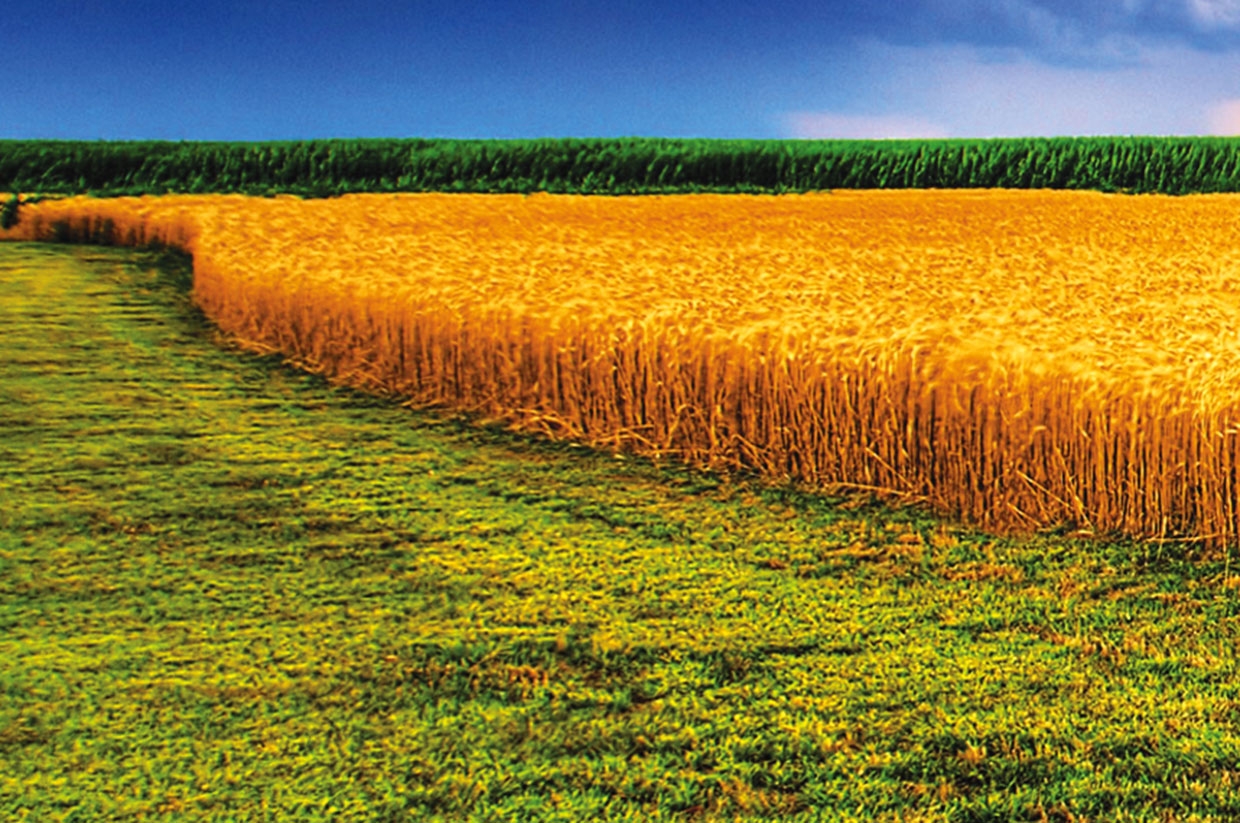 Systiva, un concept revoluționar