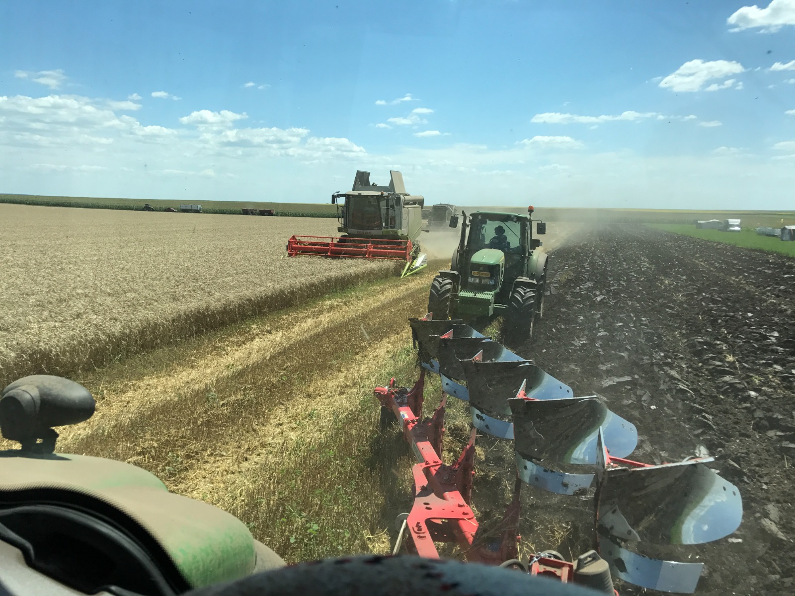 La cârma unei ferme din Negrilești, stă o tânără agricultoare