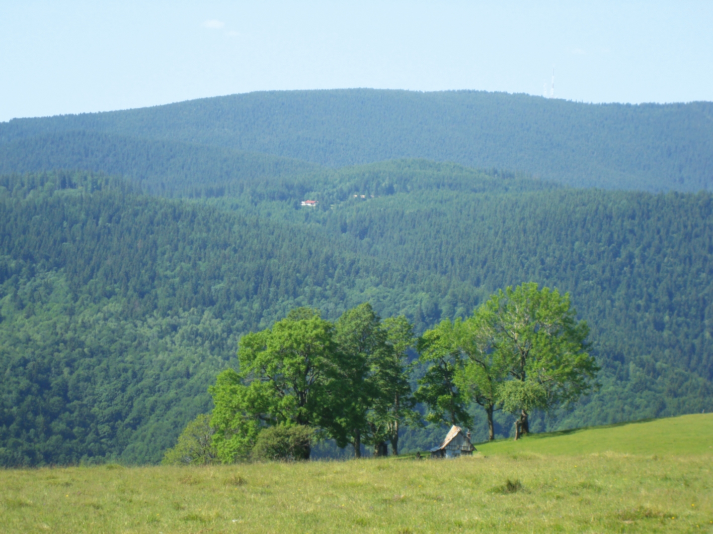 Păltiniș - un loc pentru suflet, minte și trup