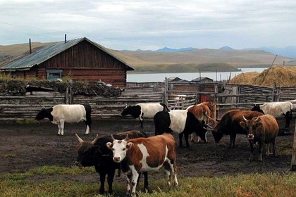 9.000 de tineri şi-au făcut ferme cu bani europeni