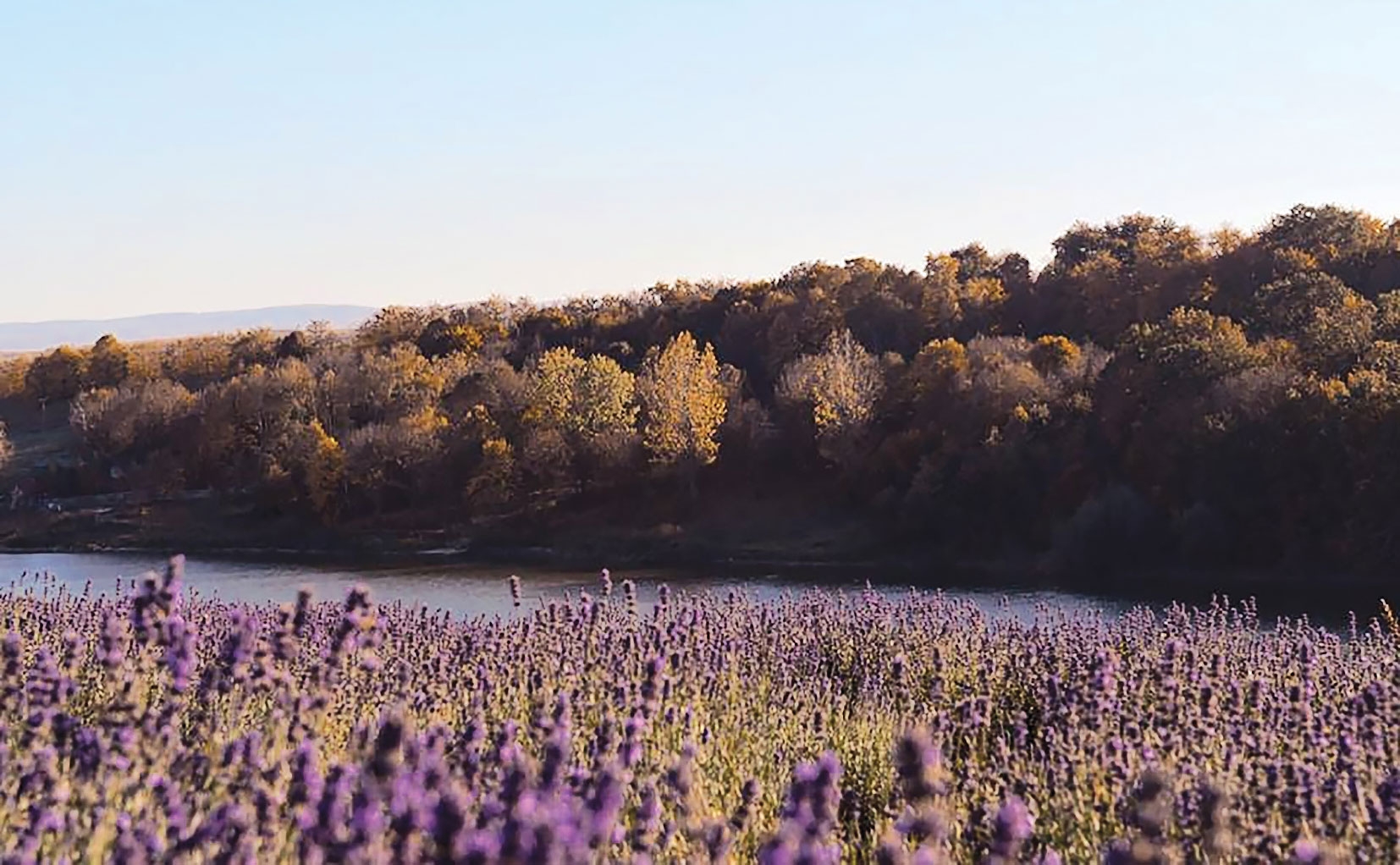 Ecoland Production dă esență Botoșaniului