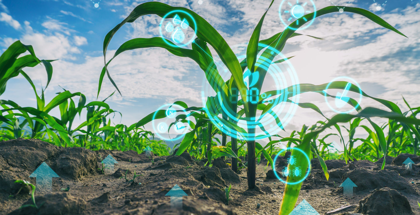 Avantajele agriculturii de precizie