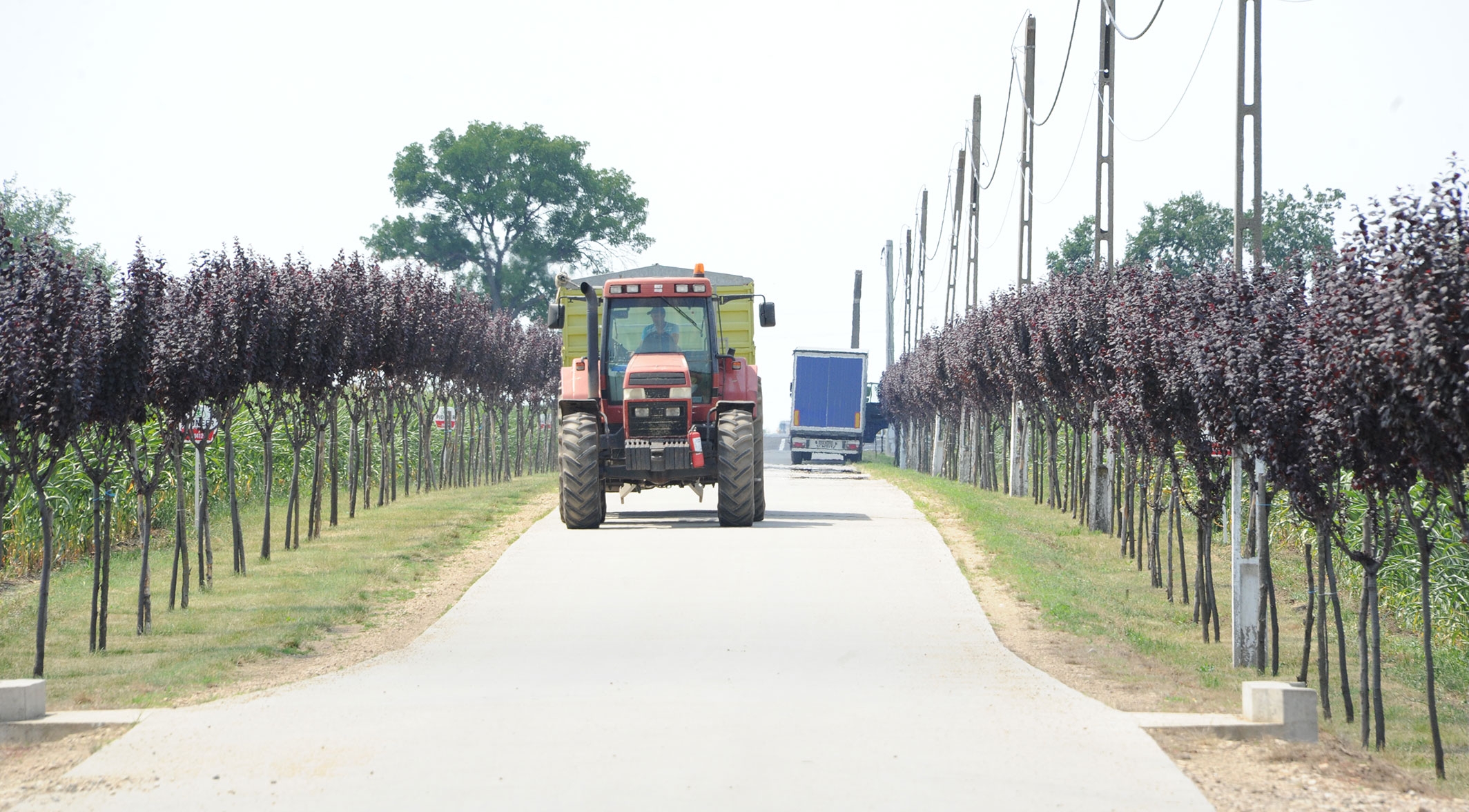 Întâlnire de lucru pentru analiza implementării PNDR și a absorbției fondurilor europene pentru dezvoltare rurală