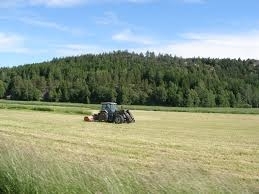Alexandru Potor, preşedintele FNGAL: 2015, anul marilor speranţe în agricultură