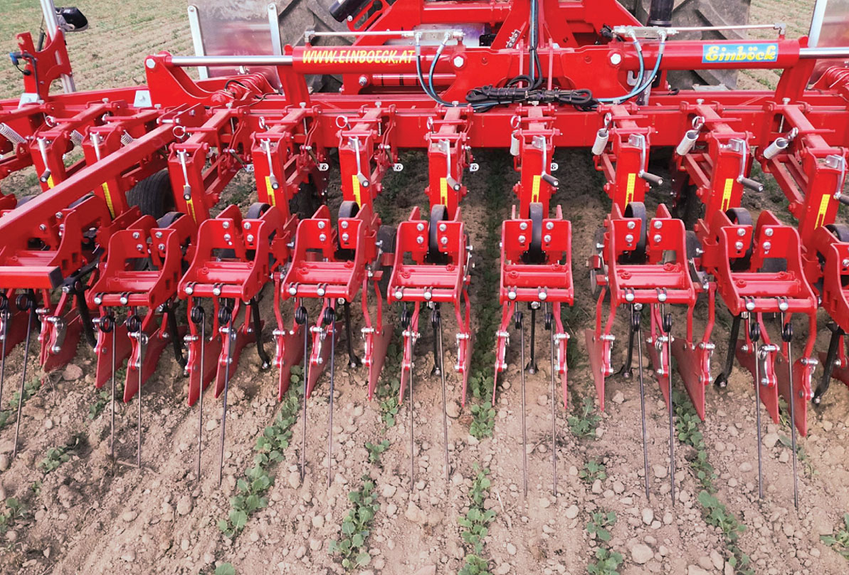 Considerații privind agricultura ecologică