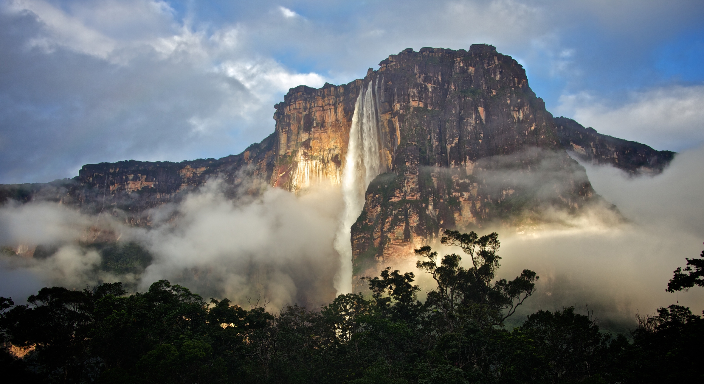 Îngerul pădurilor tropicale din Venezuela