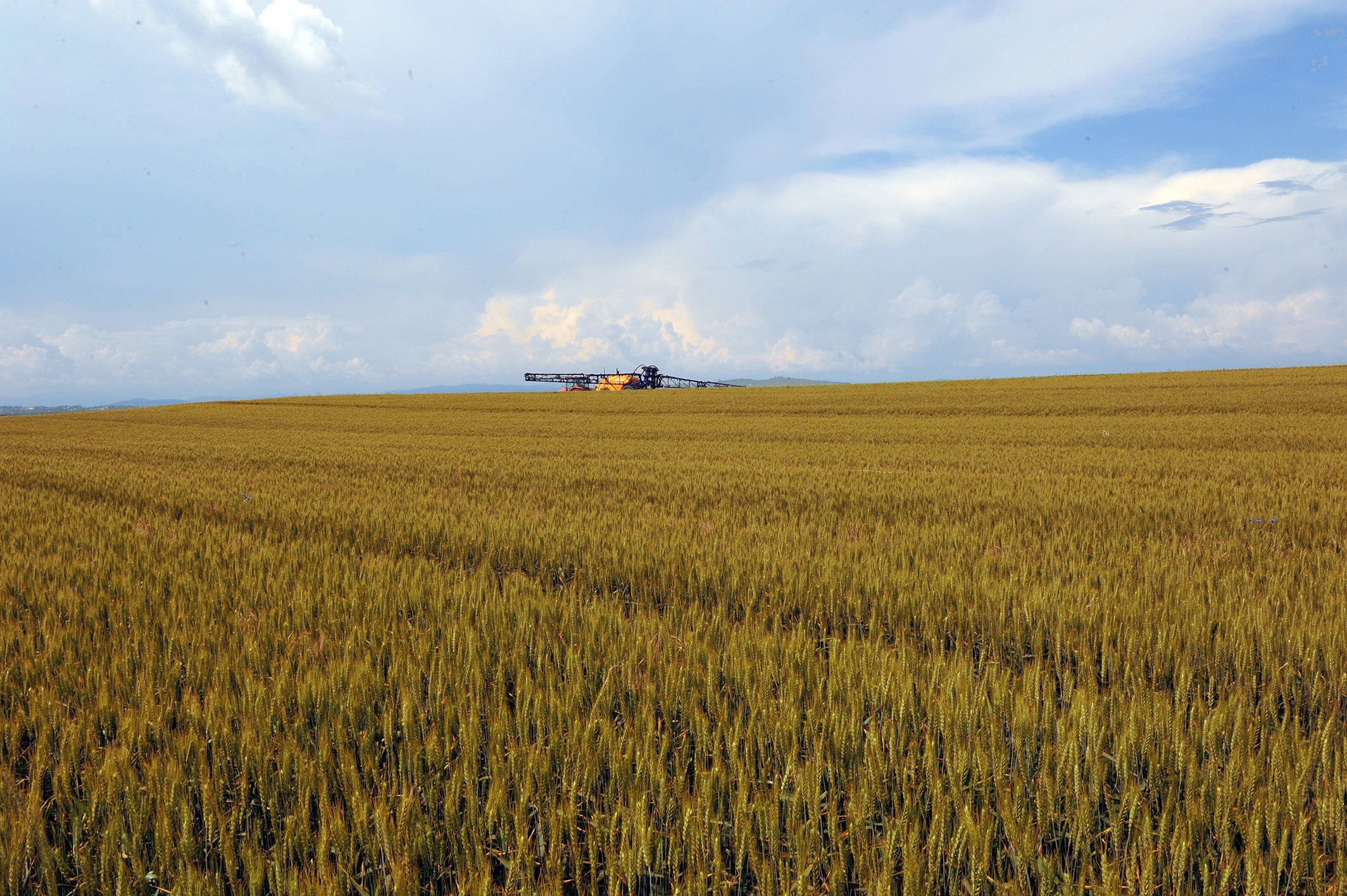 Accesarea fondurilor europene acordate prin PNDR 2020 pentru investiții agricole