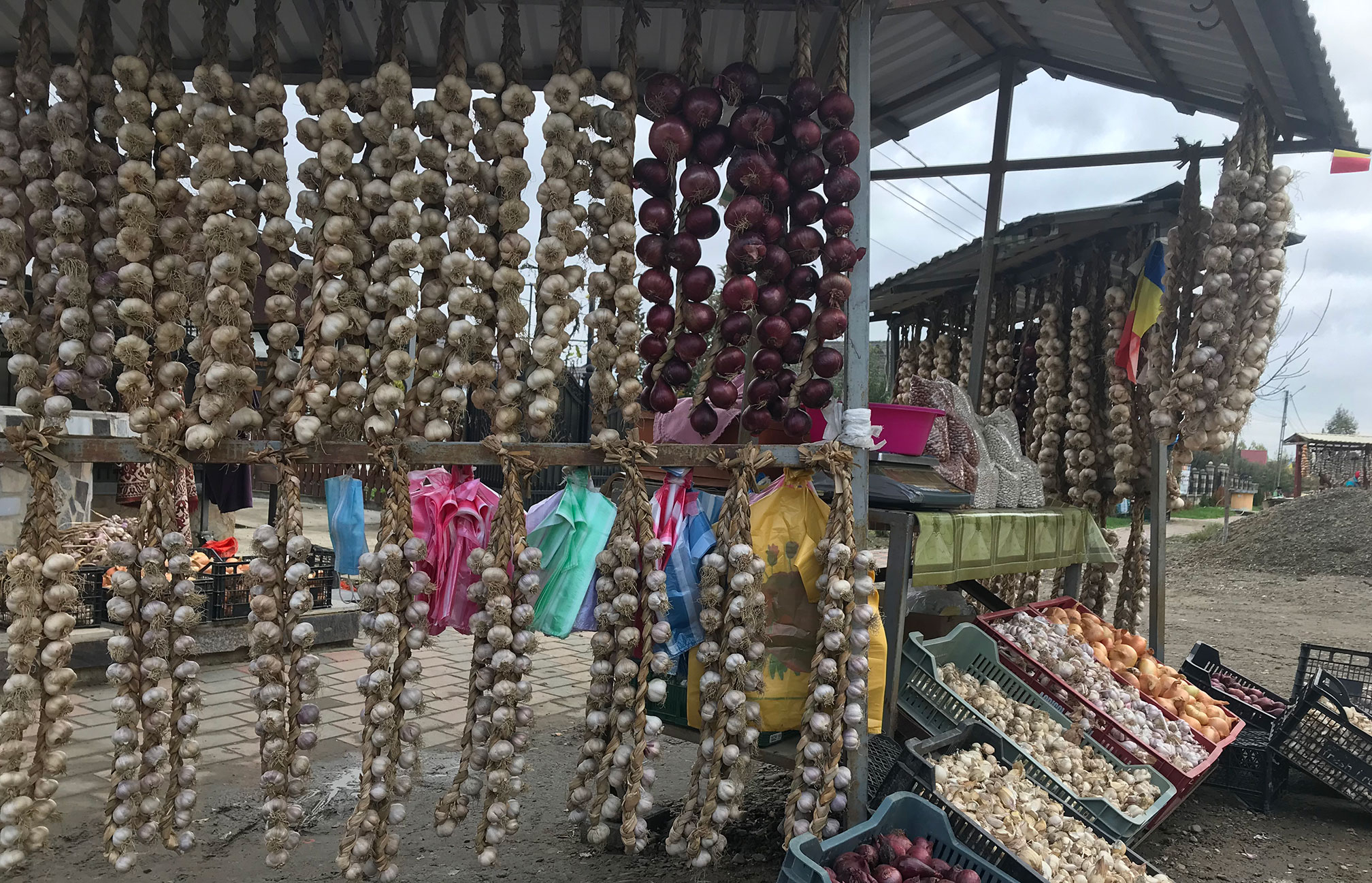 Copălău - Patria usturoiului! Un brand la nivel local