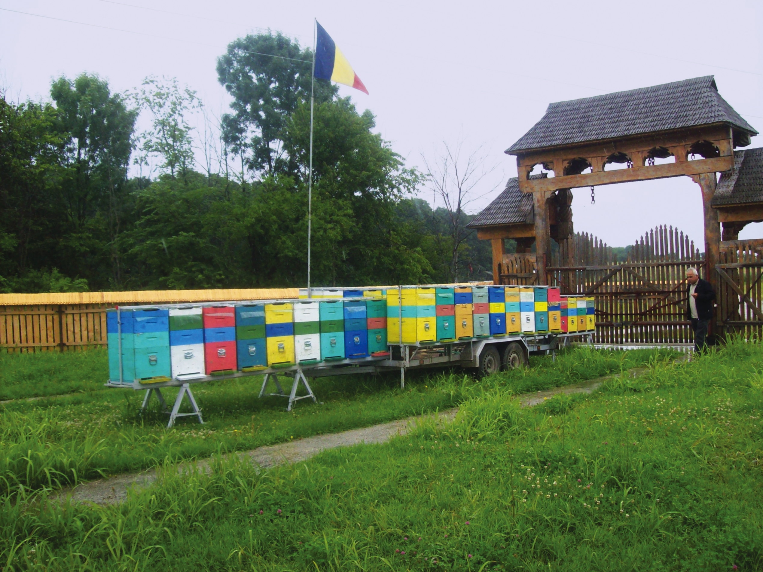 Apicultura, în Uniunea Europeană, din 2020 (III)