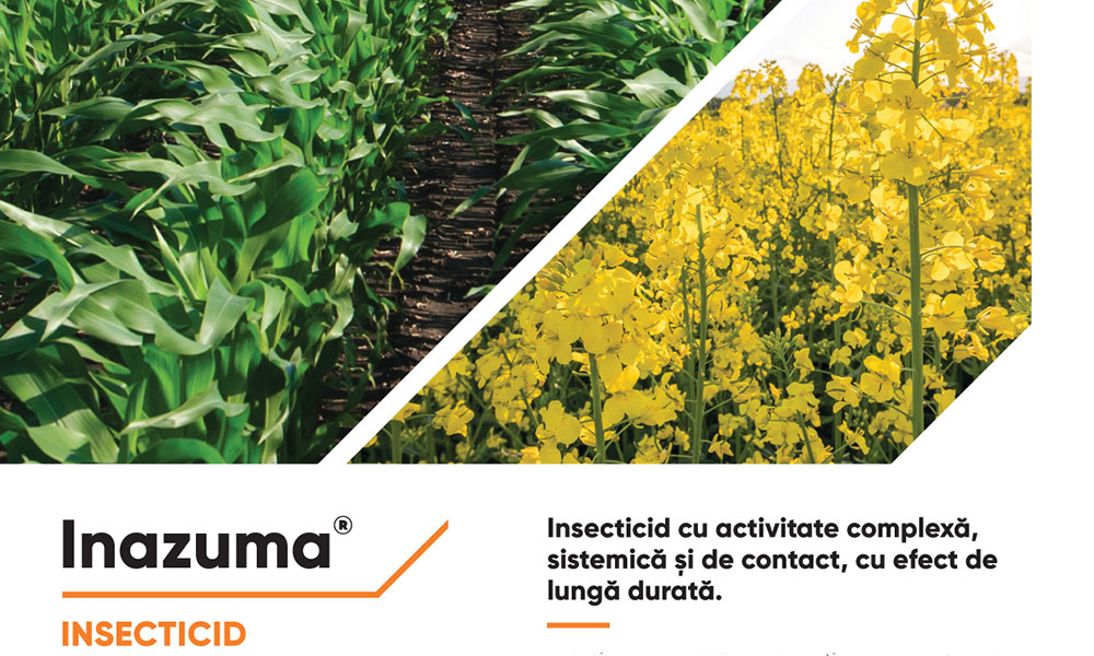 INAZUMA® - soluția completă pentru combaterea dăunătorilor din cultura de rapiță