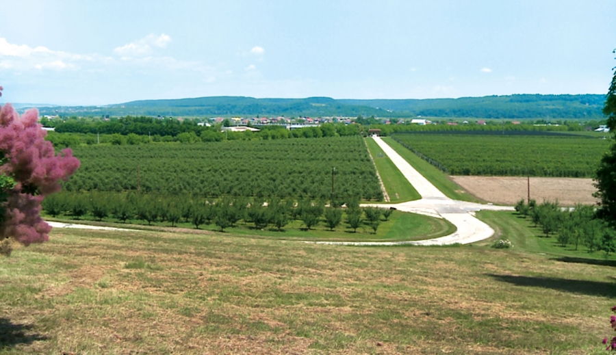 Guvernul, un fel de Moș Crăciun albastru: Ce cadouri vor primi agricultorii