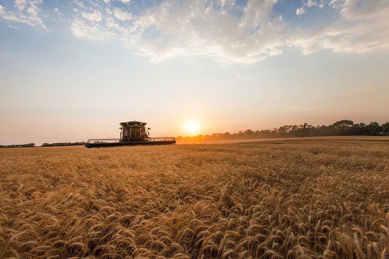 Ce promite noul Cabinet agricultorilor