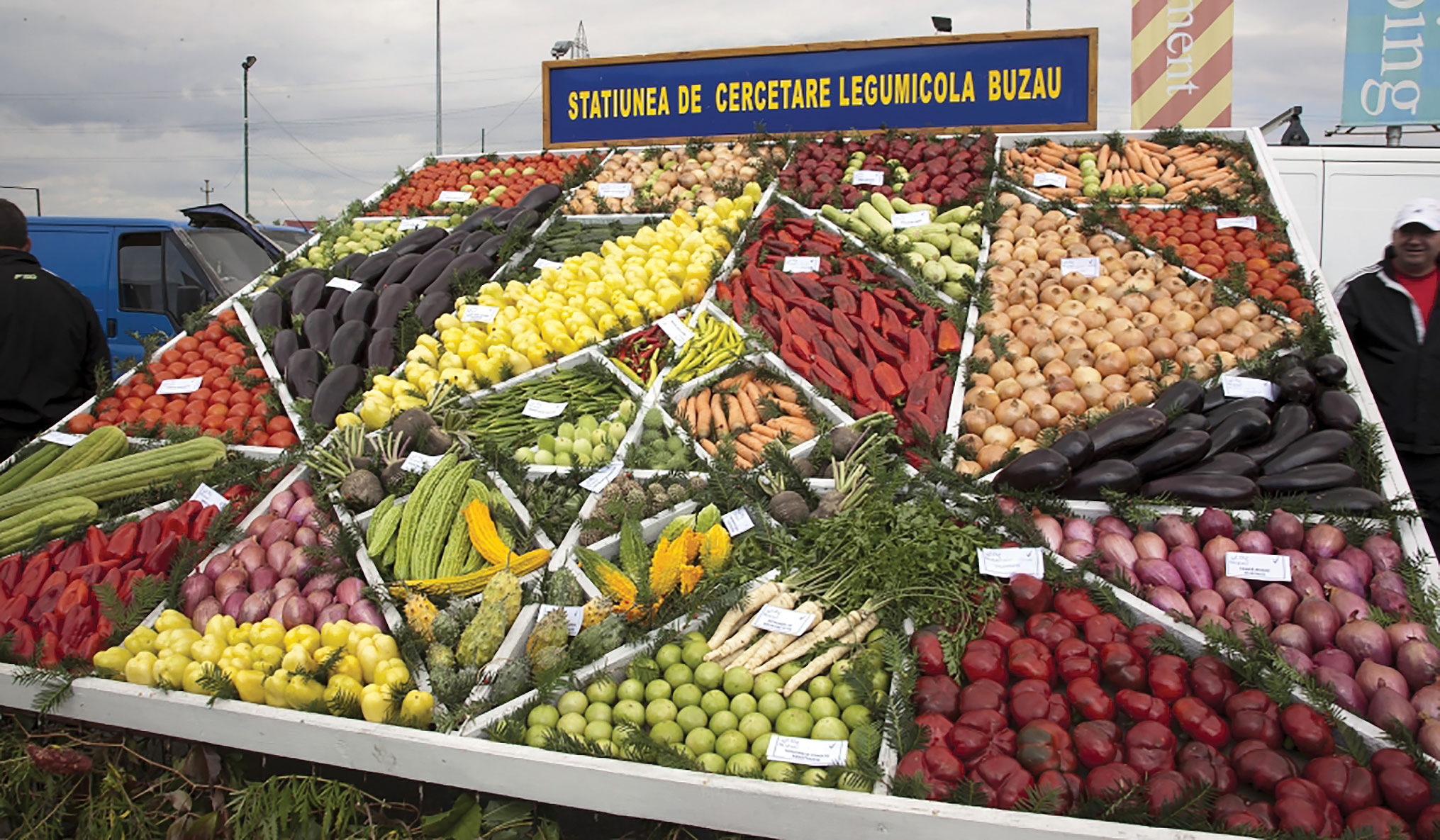 Sămânța și importanța ei