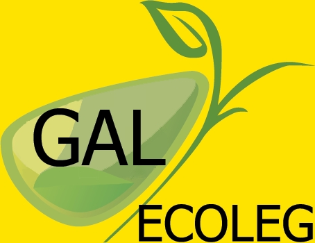 La GAL Ecoleg Olt Inferior. Proiecte inedite, eşecuri pe măsură