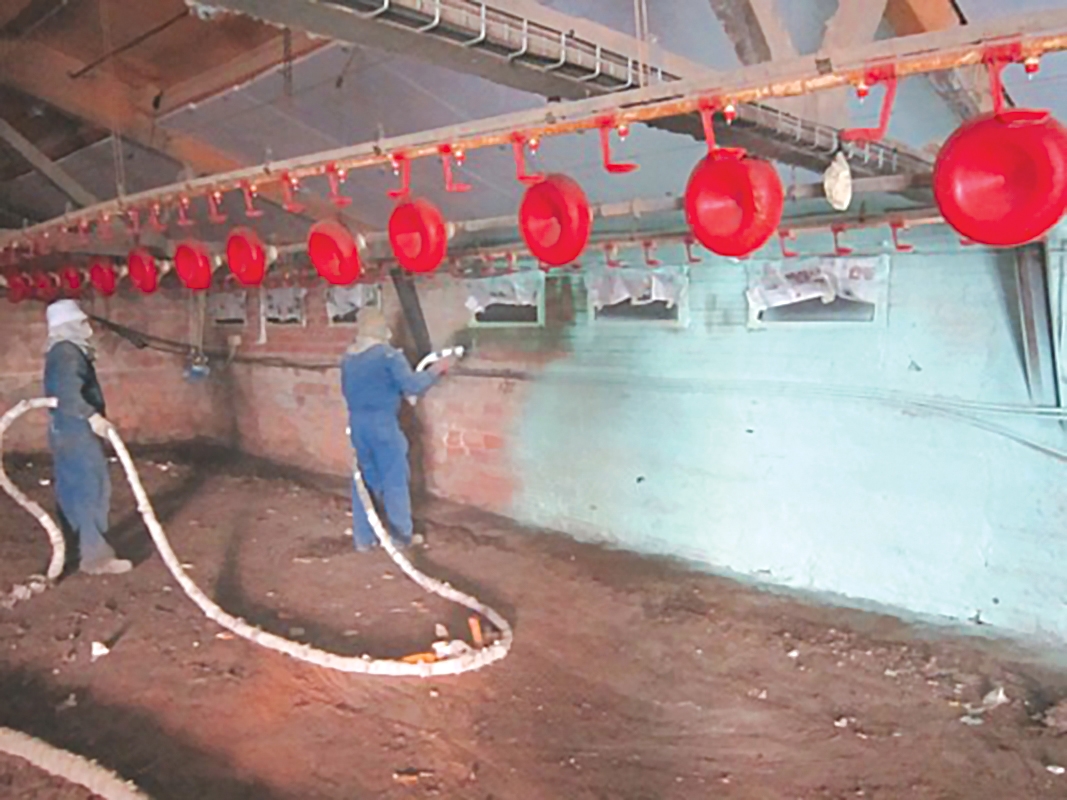 Studiu de caz, o fermă avicolă din Spania. Spuma poliuretanică, o soluție pentru izolarea termică