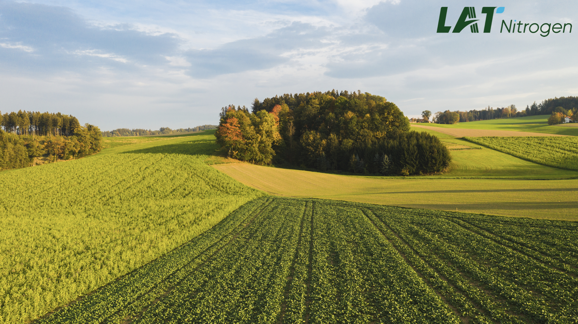 Recomandări pentru fertilizarea grâului din toamnă