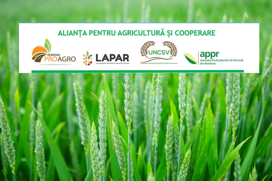 România are nevoie de soluții care să asigure stabilitatea veniturilor agricultorilor