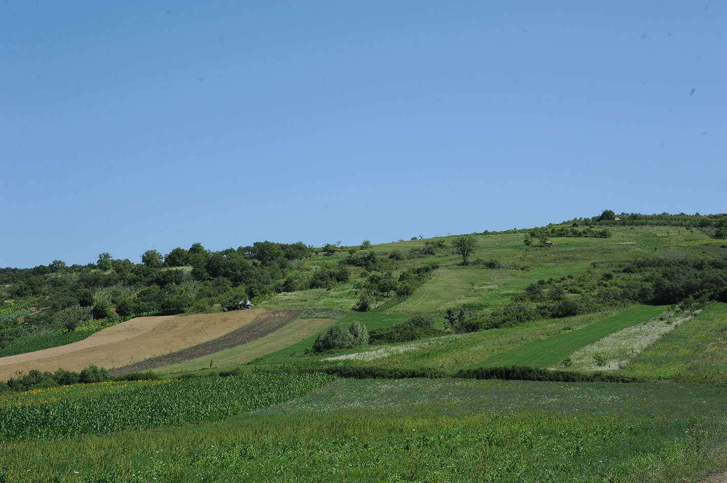 A fost demarată autorizarea la plată a schemei de plată pentru practici agricole benefice pentru climă şi mediu (înverzire) precum și pentru submăsurile compensatorii din PNDR aferente Măsurii 13