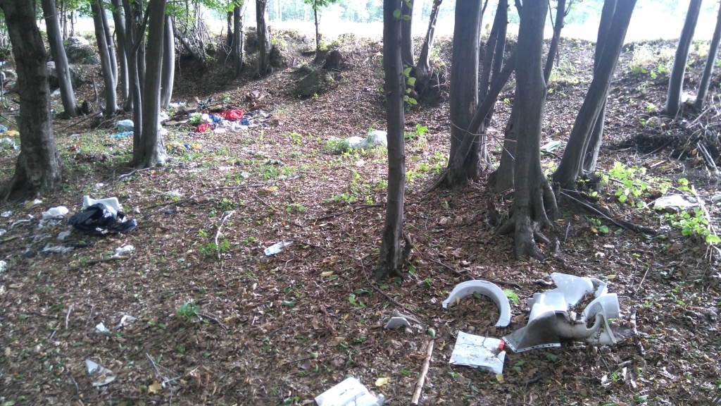 Anul de grație 2020: epidemia noastră de gunoaie...