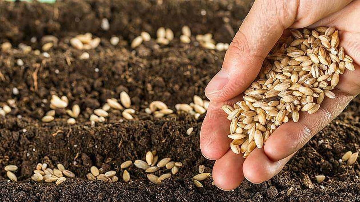 S-a înființat Banca de Resurse Genetice Vegetale Buzău