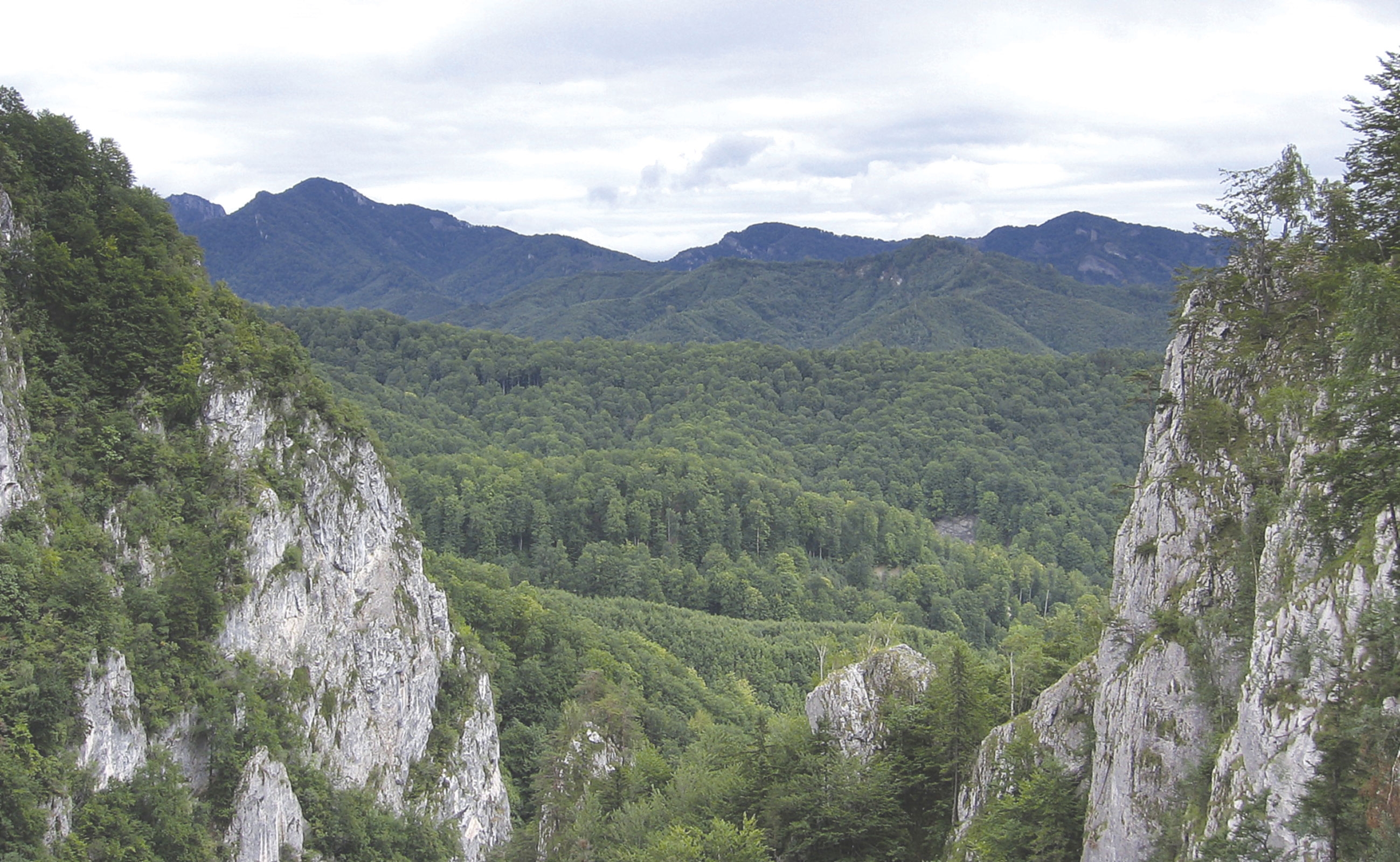 Vâlcea turistică: de la Hurezi la Valea Oltului
